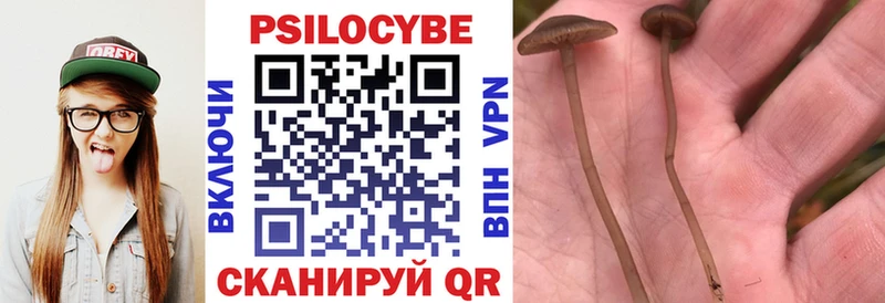 Псилоцибиновые грибы GOLDEN TEACHER  Купить где  Берёзовский 
